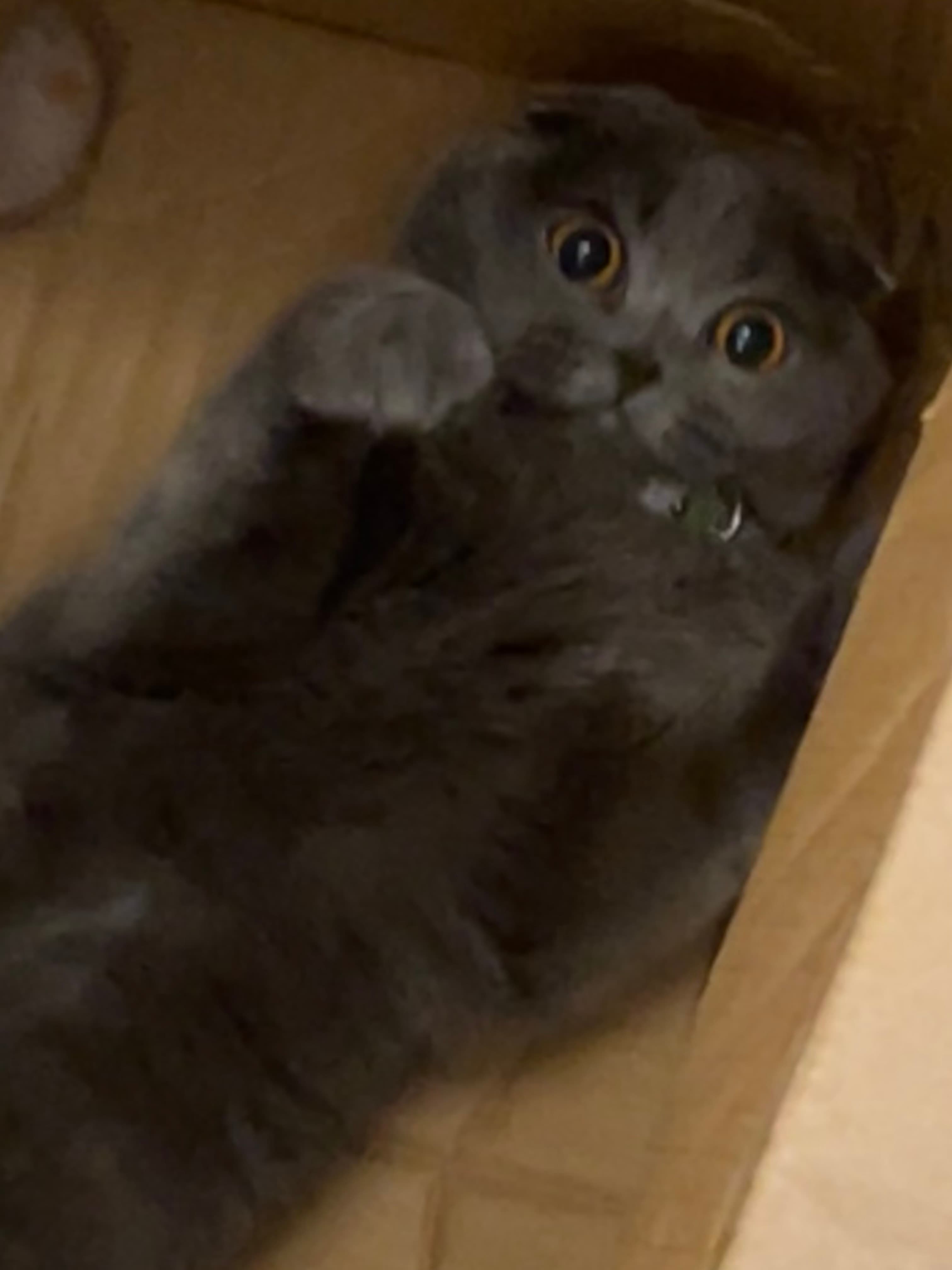 Naman Barkiya - Applied AI Engineer Portfolio